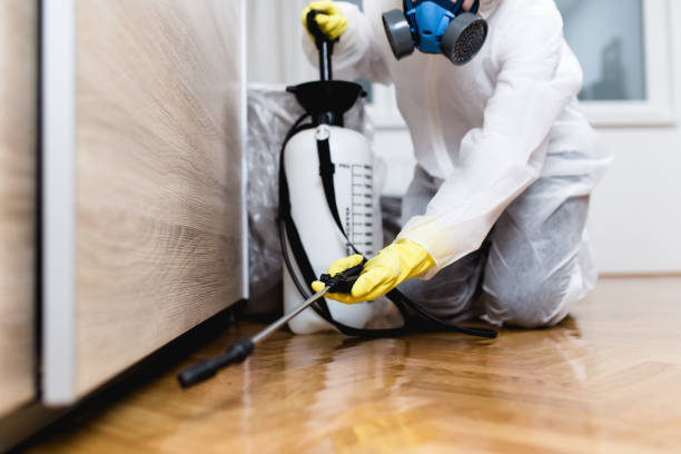 Best Mosquito Control Services  in Anthony, KS