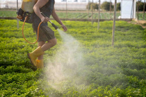 Best Mosquito Control Services  in Anthony, KS