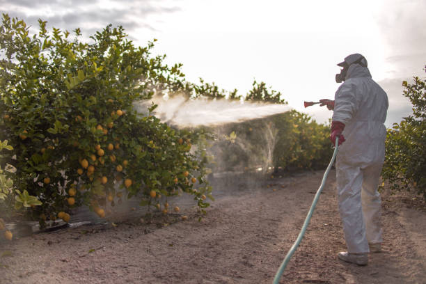 Best Pest Control Near Me  in Anthony, KS