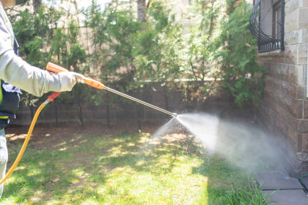 Best Cockroach Control Services  in Anthony, KS