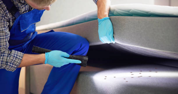 Pest Control Cost in Anthony, KS
