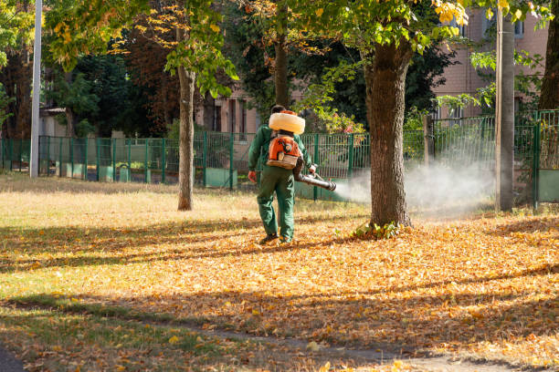 Best Emergency Pest Control  in Anthony, KS