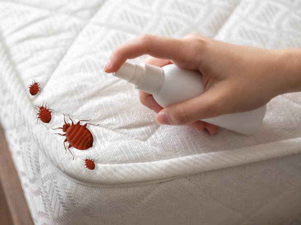 Pest Prevention Services in Anthony, KS