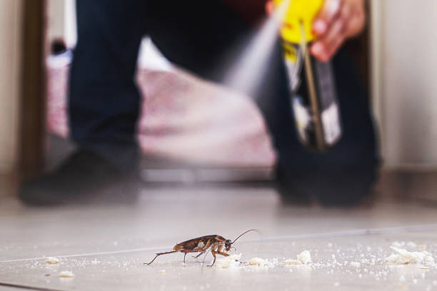 Best Wildlife Control Services  in Anthony, KS