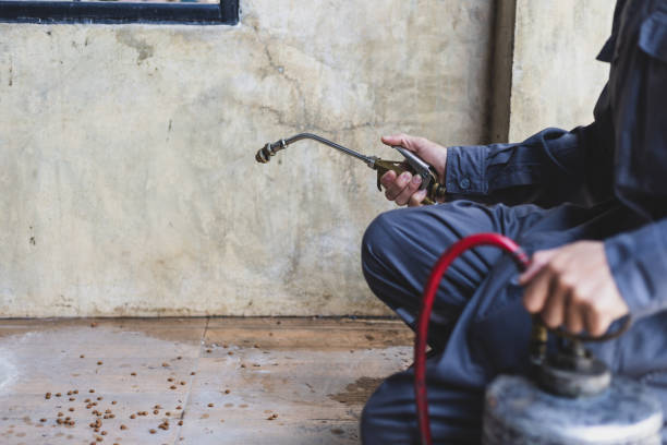 Best Affordable Pest Control Services  in Anthony, KS
